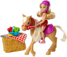 Load image into Gallery viewer, Barbie Club Chelsea Doll and Horse, GFF50