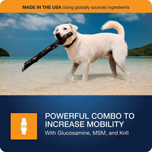 Load image into Gallery viewer, VETIQ Maximum Strength Hip and Joint Supplement for Dogs, Chicken Flavored Soft Chews