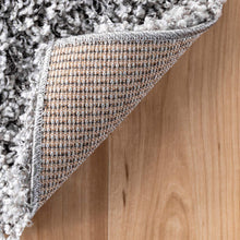 Load image into Gallery viewer, nuLOOM Cozy Soft &amp; Fluffy Solid Shag Area Rug, 4' x 6', Silver