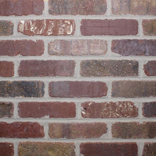 Load image into Gallery viewer, Single Thin Bricks - Flats for Brickwebb (Box of 50) - Columbia Street