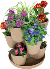 Load image into Gallery viewer, Emsco Group