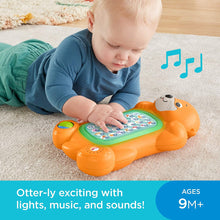 Load image into Gallery viewer, Fisher-Price Linkimals A to Z Otter - Interactive Educational Toy with Music and Lights for Baby Ages 9 Months &amp; Up, Multicolor