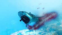 Load image into Gallery viewer, Maneater - PlayStation