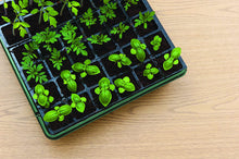 Load image into Gallery viewer, Burpee 72 Cell Self-Watering Seed Starting Kit, 72 Cell Black