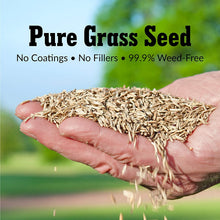 Load image into Gallery viewer, GreenView Fairway Formula Grass Seed Turf Type Tall Fescue Shady Mixture