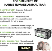Load image into Gallery viewer, Harris Catch and Release Humane Cage Trap for Rats, Chipmunks, and Small Squirrels (2-Pack)