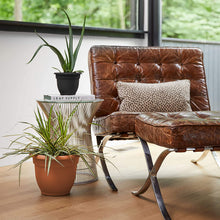 Load image into Gallery viewer, Fiskars 20-56106 6 Inch Ariana with Self-Watering Grid