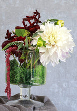 Load image into Gallery viewer, Mosser Lee Reindeer Moss