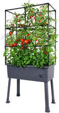 Load image into Gallery viewer, Patio Ideas - 15.75" x 31.5" x 63" Self-Watering Elevated Planter with Trellis Frame and Greenhouse Cover