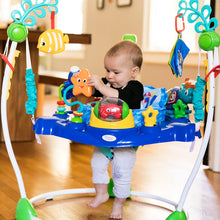 Load image into Gallery viewer, Baby Einstein Jumper