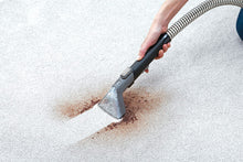Load image into Gallery viewer, Hoover Spotless Deluxe Carpet Cleaner, Blue