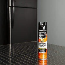 Load image into Gallery viewer, Hot Shot Spider &amp; Scorpion Killer, Aerosol, 11-Ounce