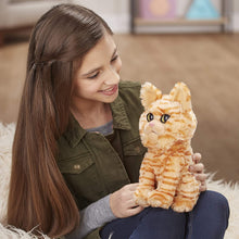 Load image into Gallery viewer, Marvel Captain Marvel Movie Goose The Cat