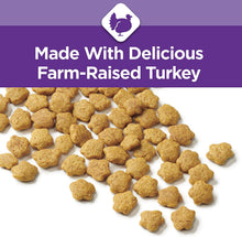Load image into Gallery viewer, Purina Cat Chow Gentle Sensitive Stomach Adult Dry Cat Food