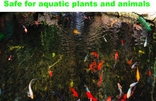 Load image into Gallery viewer, Viagrow Stop-Alg 1 Quart 946ml - Controls Algae Keeps Aquariums &amp; Pond Water Crystal Clear