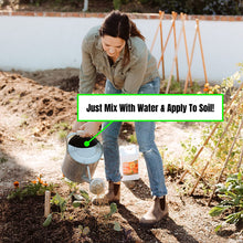 Load image into Gallery viewer, AgroThrive Organic Fertilizer - Fruiting and Flowering