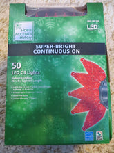 Load image into Gallery viewer, Home Accents Holiday 50 LED RED C3 Lights - Super Bright - Continuous ON
