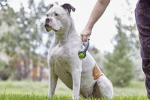 Load image into Gallery viewer, PetWell Dual Point Handheld Massage Roller Pets (Dogs, Cats)