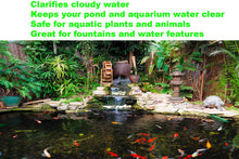 Load image into Gallery viewer, Viagrow Stop-Alg 1 Quart 946ml - Controls Algae Keeps Aquariums &amp; Pond Water Crystal Clear