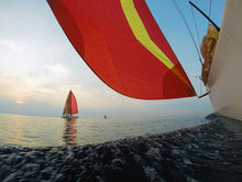 Load image into Gallery viewer, GoPro Suction Cup Mount (GoPro Official Mount)