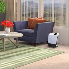 Load image into Gallery viewer, Deluxe Mounted Space Infrared Wall Heater