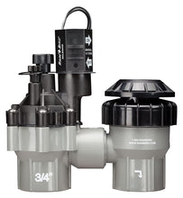 Load image into Gallery viewer, Rain Bird DASASVF075 3/4" Fl.Anti-Siphon Valve