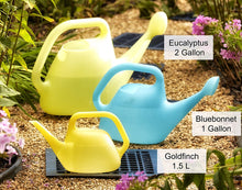 Load image into Gallery viewer, Bloem Watering Can, 2 Gallon, Eucalyptus