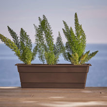 Load image into Gallery viewer, Bloem Dura Cotta Window Box Planter w/Tray, 30&quot;, Chocolate (DCBT30-45)