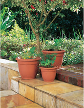 Load image into Gallery viewer, Flowerpot Ariana Sea17.6