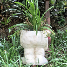 Load image into Gallery viewer, Homestyles 9 in. Antique White Bulldog Muggly Mascot Animal Statue Planter Holds a 3&quot; Pot