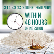 Load image into Gallery viewer, Safer 51703 Diatomaceous Earth-Bed Bug Flea, Ant, Crawling Insect Killer 4 lb