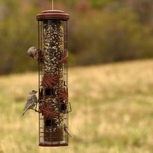 Load image into Gallery viewer, Perky-Pet Squirrel-Be-Gone Cylinder Wild Bird Feeder