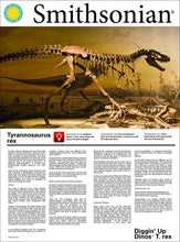 Load image into Gallery viewer, Smithsonian Diggin' Up Dinosaurs T-Rex Plastic Skeleton Set Educational,Fun,Science,Archeological Playset for Kids Age 8 up