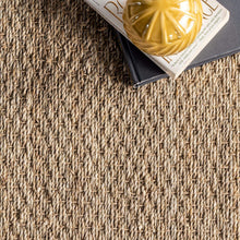Load image into Gallery viewer, nuLOOM Elijah Seagrass Natural Area Rug, 8' x 10', Black