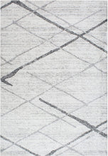 Load image into Gallery viewer, nuLOOM Thigpen Indoor Rug
