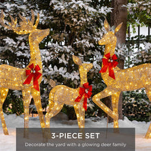 Load image into Gallery viewer, Best Choice Products 3-Piece Lighted Christmas Deer Family Set Outdoor Yard Decoration with 360 LED Lights, Stakes, Zip Ties