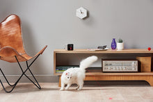 Load image into Gallery viewer, Petcube Play Smart Pet Camera with Interactive Laser Toy. Remote Dog/Cat Monitoring with HD 1080p Video, Two-Way Audio, Night Vision, Sound/Motion Alerts. App-Enabled Pet Safety and Home Security