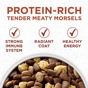 Purina ONE SmartBlend Natural Healthy Weight Formula Adult Dry Dog Food & Wet Dog Food