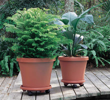 Load image into Gallery viewer, Bloem CAD1500 Square Plant Stand Dolly