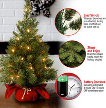 Load image into Gallery viewer, National Tree Company