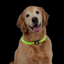 Load image into Gallery viewer, NiteHowl LED Safety Necklace, Universal, Reusable Visibility Necklace for Pets
