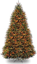 Load image into Gallery viewer, National Tree Company