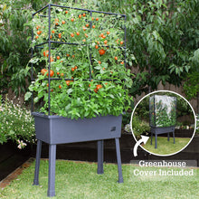 Load image into Gallery viewer, Patio Ideas - 15.75" x 31.5" x 63" Self-Watering Elevated Planter with Trellis Frame and Greenhouse Cover