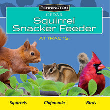 Load image into Gallery viewer, Pennington 100509197 Cedar Squirrel Snacker Feeder, 2.75 LB Capacity