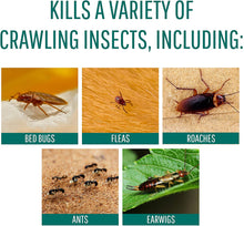 Load image into Gallery viewer, Safer 51703 Diatomaceous Earth-Bed Bug Flea, Ant, Crawling Insect Killer 4 lb