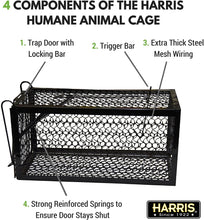 Load image into Gallery viewer, Harris Catch and Release Humane Cage Trap for Rats, Chipmunks, and Small Squirrels (2-Pack)