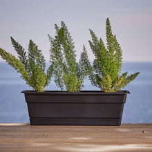Load image into Gallery viewer, Bloem DCBT30-00 Dura Cotta Plant Window Box, 30-Inch, Black, 4 Gallon