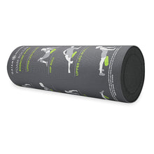 Load image into Gallery viewer, Gaiam Restore Foam Roller with Self-Guided Exercise Illustrations Printed on Massage Roller, 18 Inch
