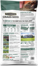 Load image into Gallery viewer, Pennington Kentucky 31 Tall Fescue Grass Seed, 20 Pounds