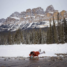 Load image into Gallery viewer, LifeStraw Personal Water Filter for Hiking, Camping, Travel, and Emergency Preparedness